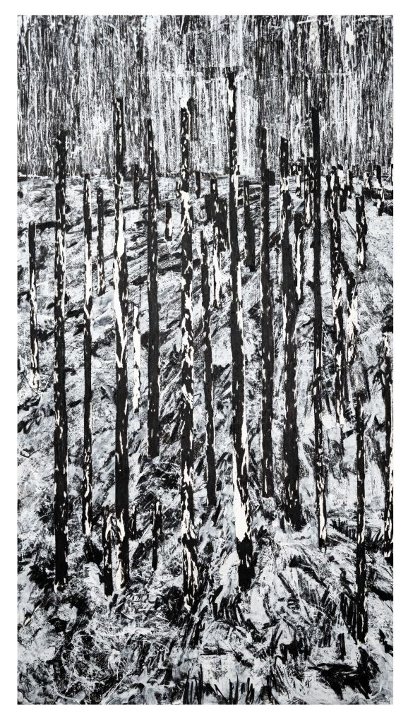 Bosques Negros 14
