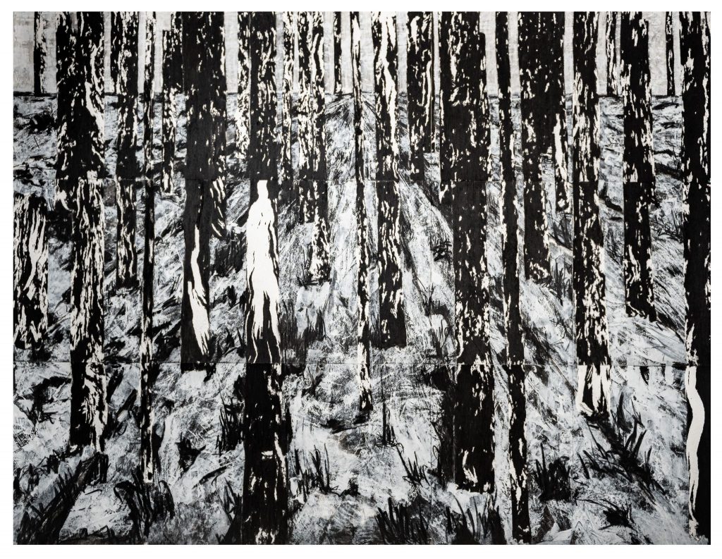 Bosques Negros 7