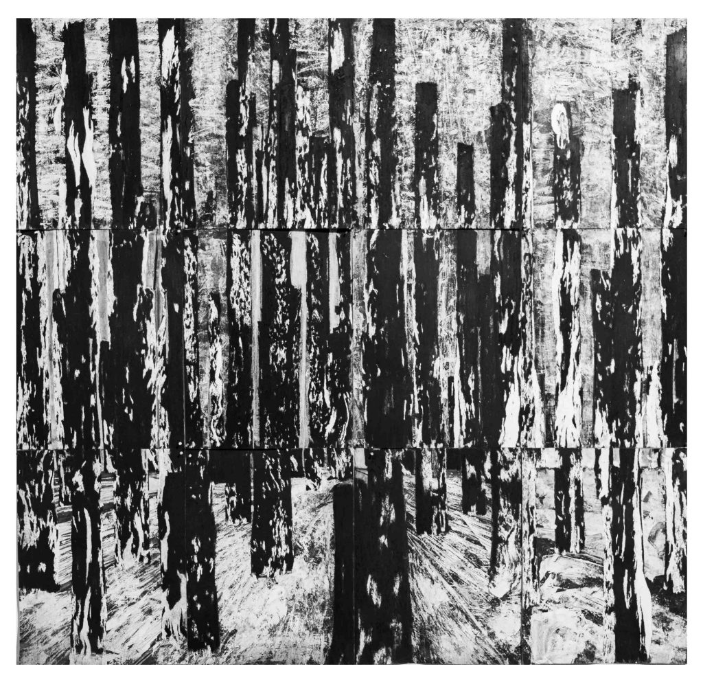 Bosques Negros 1