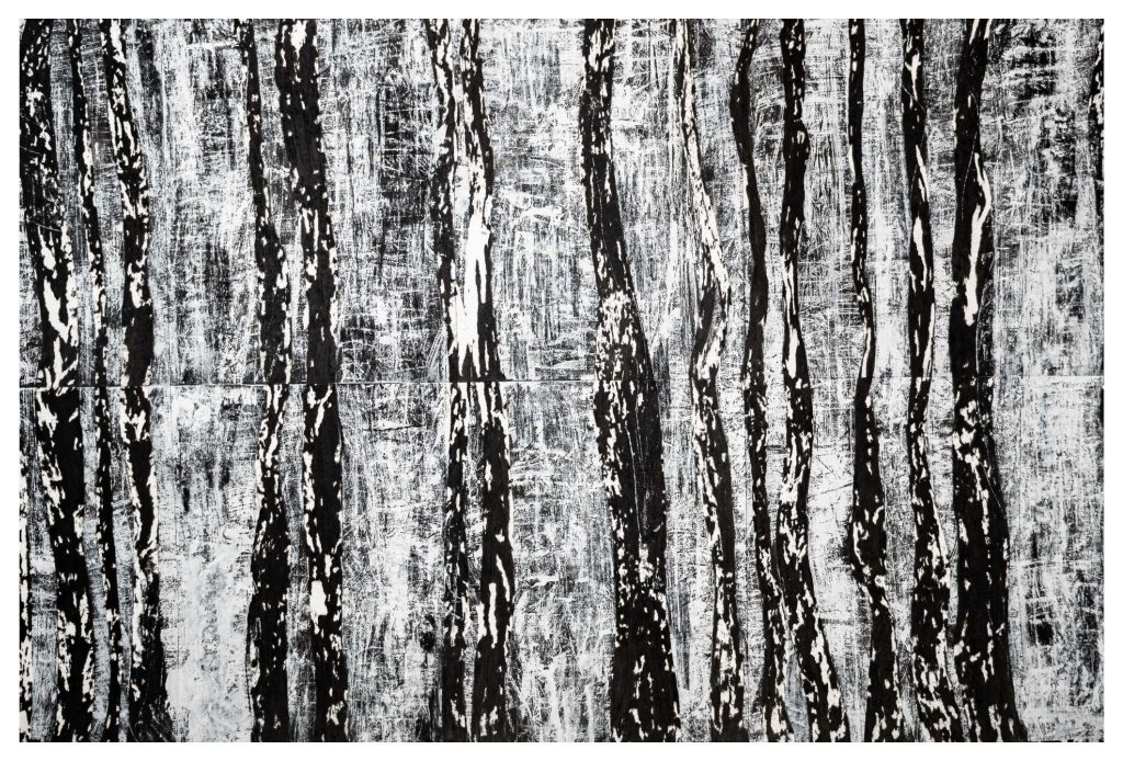 Bosques Negros 21
