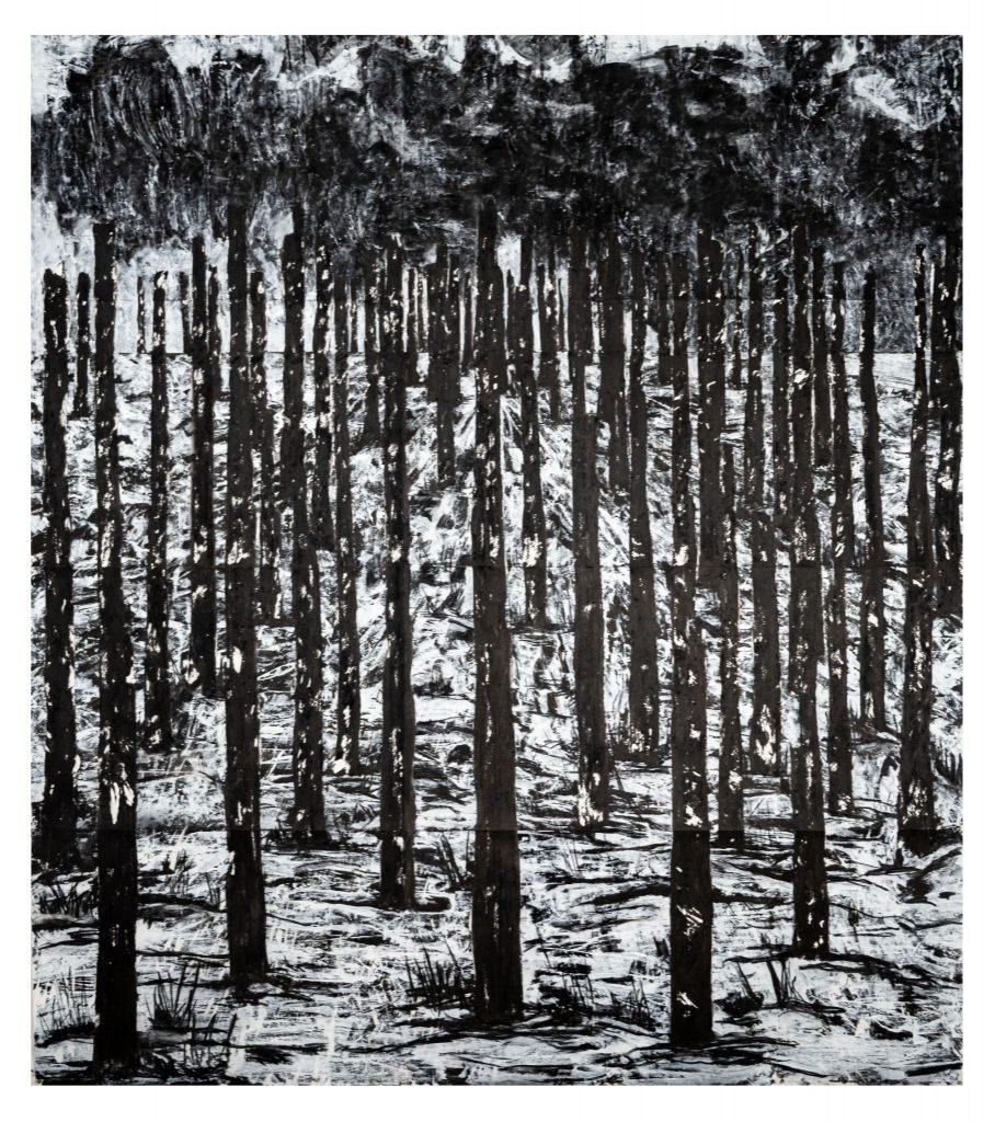 Bosques Negros 72
2,50 m X 2,60m
Técnica: Carboncillo y Gesso sobre Papel
